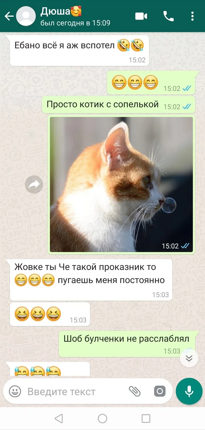 Сидела, женщина, скучала... - Моё, Любовь, Розыгрыш, Длиннопост