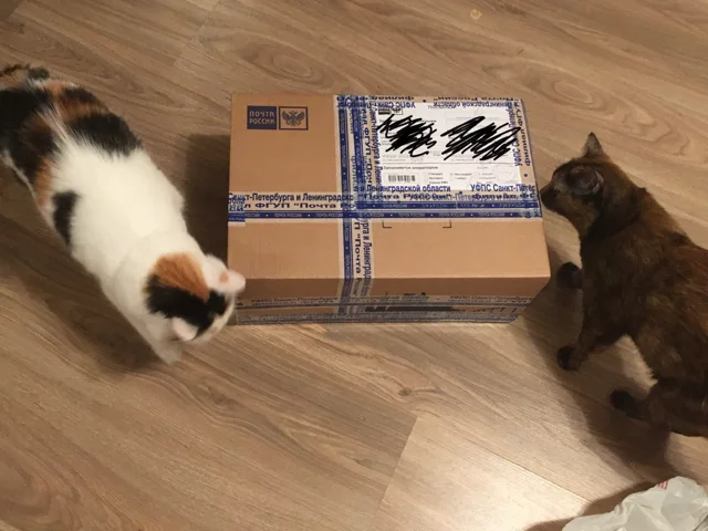 Hell St. Petersburg - Ryazan - My, Secret Santa, Gratitude, New Year's gift exchange, Longpost, Gift exchange report, Gift exchange