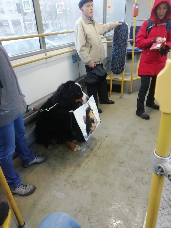 ������� ������� ���� ������� �������