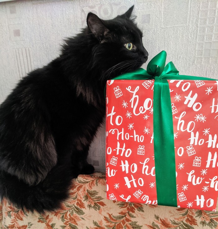 Подарок Подарки, Черный кот, Новый Год, Котомафия