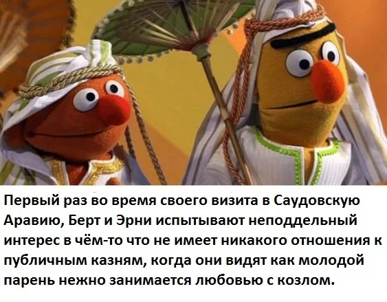 It's always nice to discover something new - The Muppet Show, Bert and Ernie, Picture with text