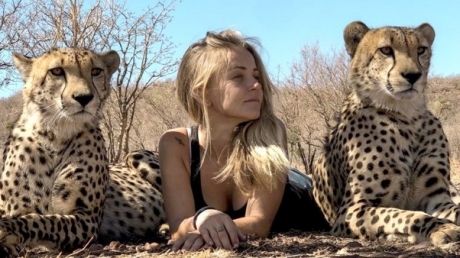 Lives and sleeps with cheetahs: in South Africa, the girl spent her whole life among wild animals - Cheetah, Africa, Longpost, Video, Girls, Animals, Cat family, Small cats