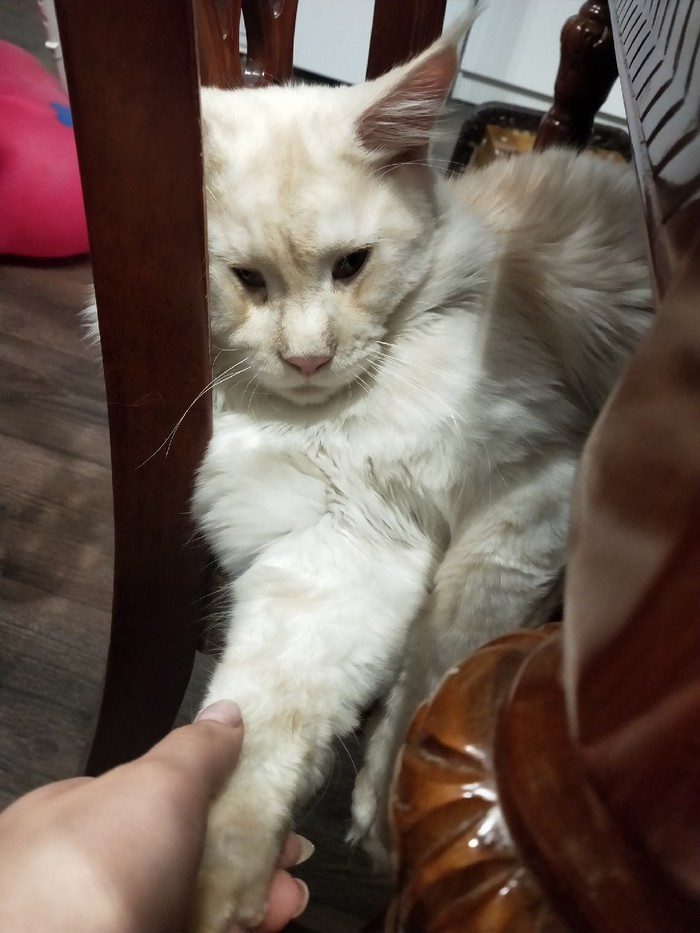    1  ,   , 
