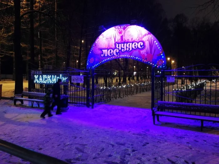 Dogs are kept outside - Husky, No rating, Moscow, Izmailovsky park, Longpost