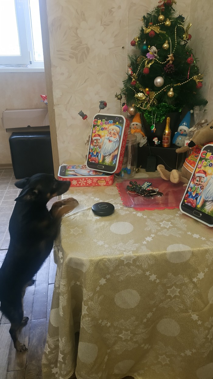 ��� ��� ��� ��� ����� ���