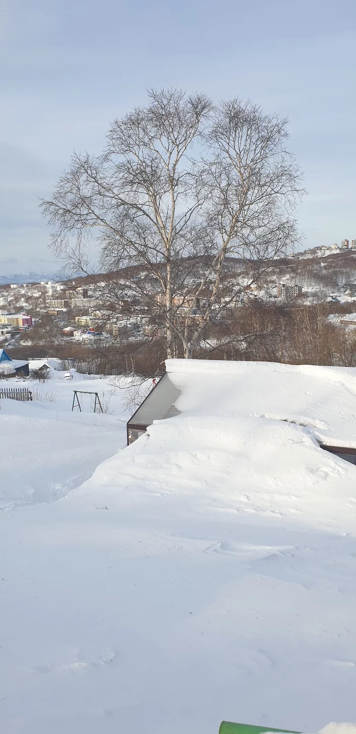 Snow - My, Snow, Mat, Longpost, Winter, Kamchatka, The photo