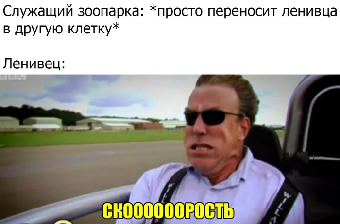 Слишком быстро - Ленивец, Top Gear, Зоопарк, Картинка с текстом