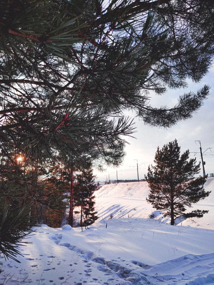 Outdoors - My, Forest, The photo, Snow, Winter