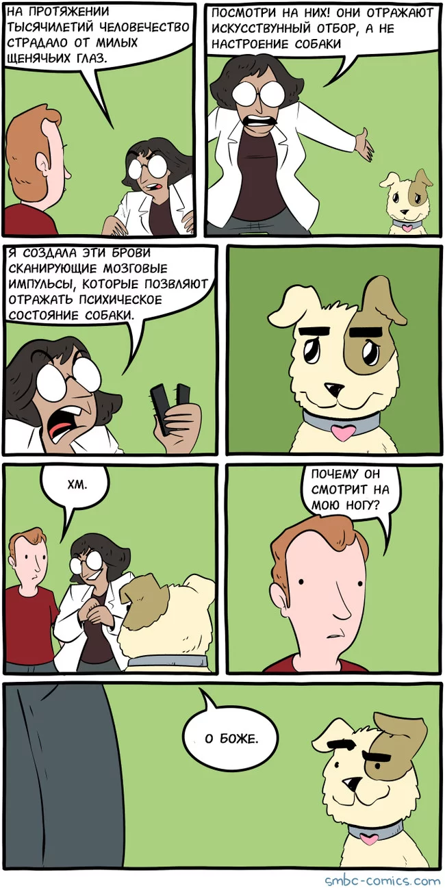 Puppy eyes - Smbc, Comics, Translated by myself, Longpost