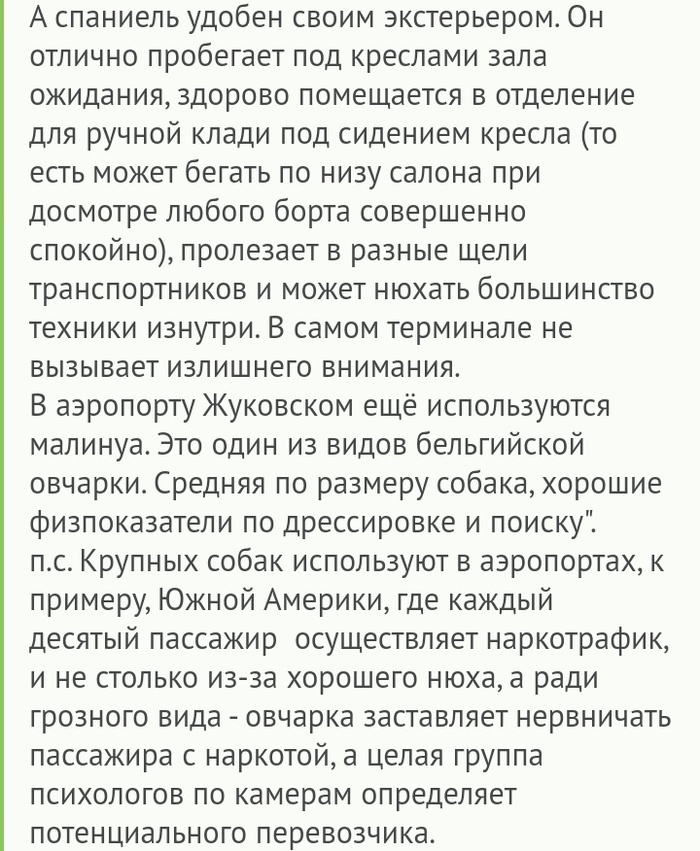 анекдот про собаку и гречку вау гречка. Смотреть фото анекдот про собаку и гречку вау гречка. Смотреть картинку анекдот про собаку и гречку вау гречка. Картинка про анекдот про собаку и гречку вау гречка. Фото анекдот про собаку и гречку вау гречка