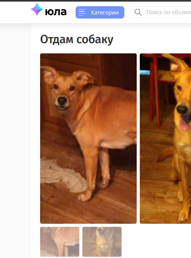 ����� ������� ��������������