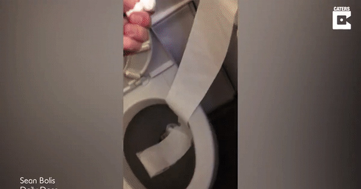 How to have fun while flying? - Airplane, Toilet, Toilet, Toilet paper, GIF