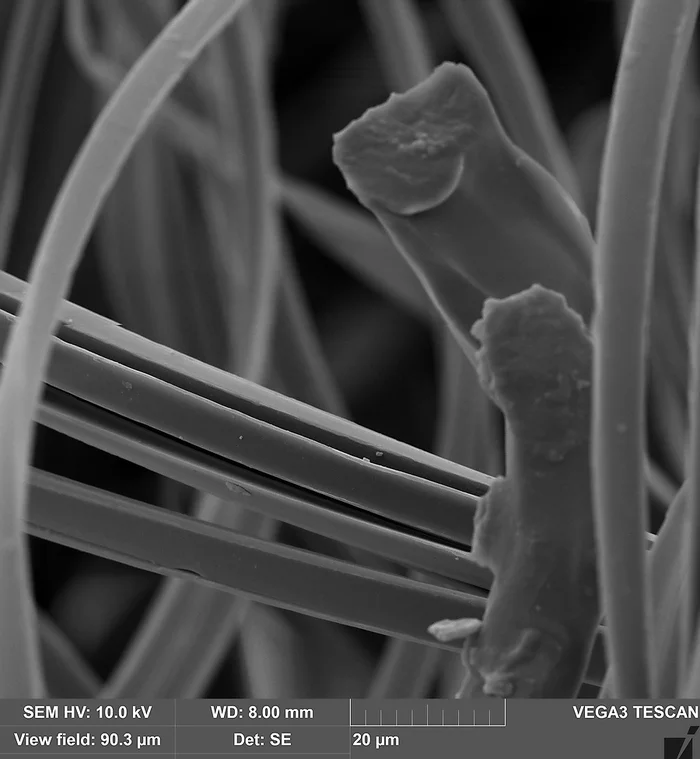 Real microfiber in an electron microscope - My, Macro photography, Microfilming, Electron microscope, Microfiber