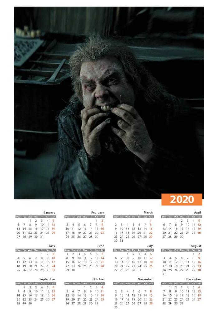 This is your year buddy) - Harry Potter, Year of the Rat, Peter Pettigrew