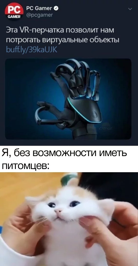 What would you touch? - Виртуальная реальность, Technologies, Development of, cat, Gloves