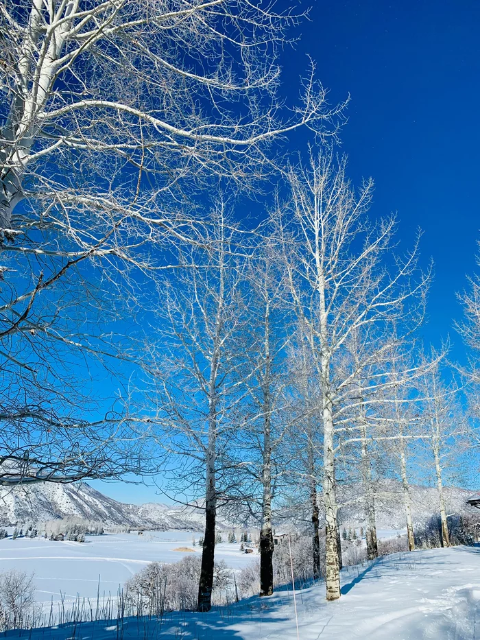 Winter in Colorado - My, The photo, Winter, Colorado, Aspen, Longpost