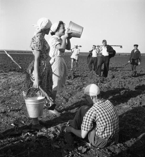 История СССР в фотографиях. № 19 - СССР, История, Фотография, Подборка, Длиннопост