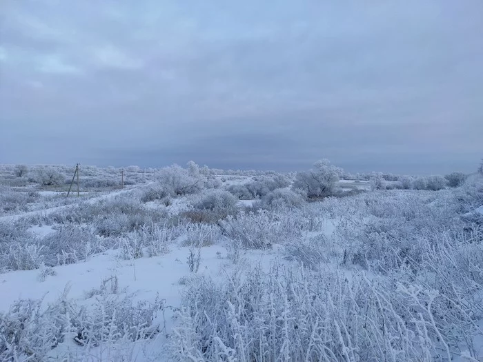 Fabulous winter - My, The photo, Winter, beauty, freezing, Snow