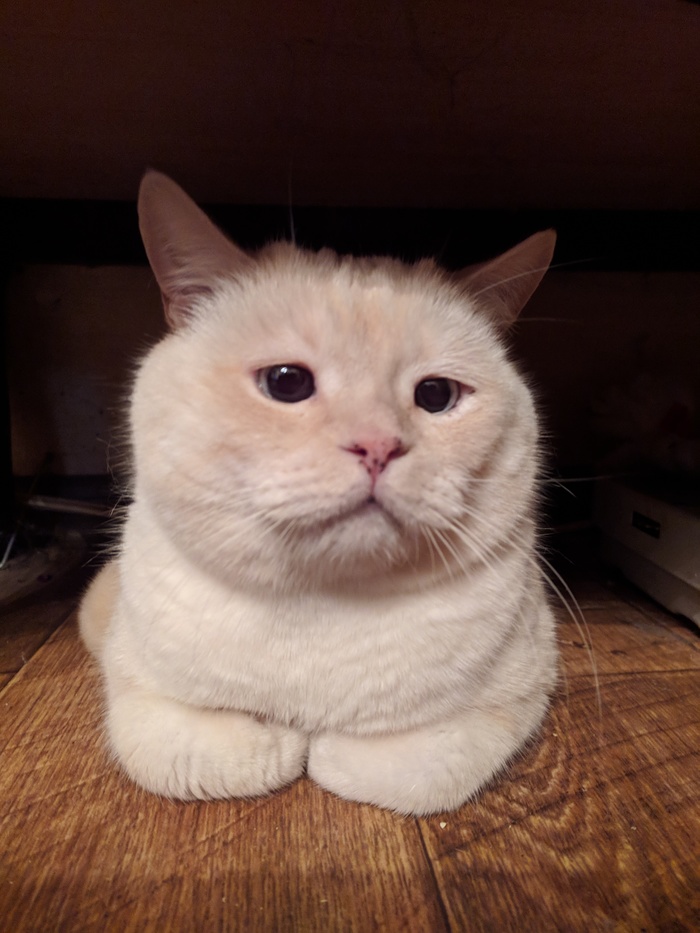 ,   ,    ? , , 