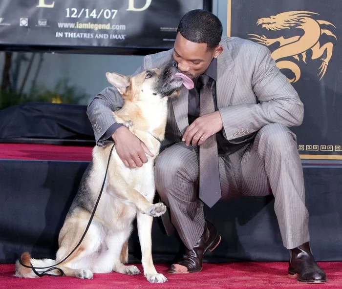 In my opinion, the best photoshoot of Will Smith - Dog, I'm a legend, Will Smith, Age, PHOTOSESSION, Hollywood, Longpost, Milota, German Shepherd