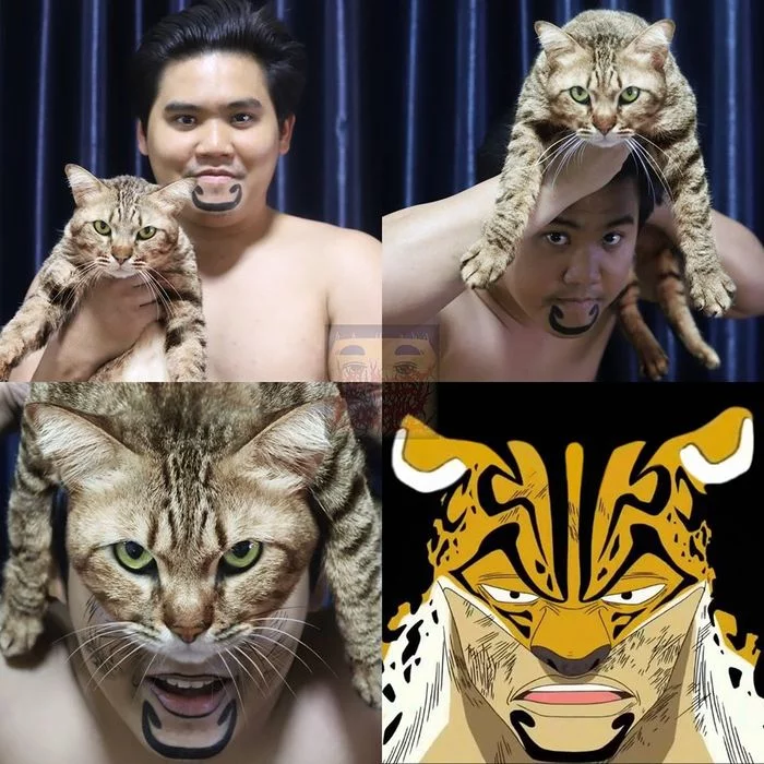 Lowcostcosplay - Rob Lucci from One Piece - Lowcost cosplay, Cosplay, One piece, cat