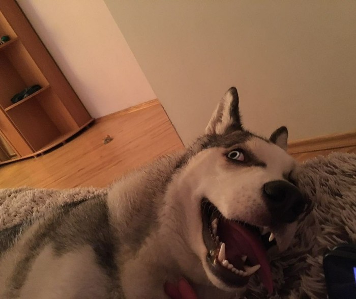 Пивасик? Щас, бегу)