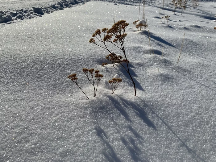 Winter - My, Mobile photography, Beach vacation, USA, Summer, Winter, Longpost