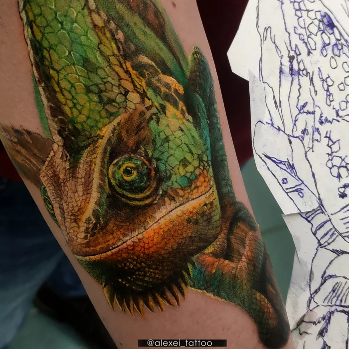 Realism tattoo - chameleon - My, Tattoo, Art, Tattoo sketch, Chameleon, Alexey Mikhailov, Details