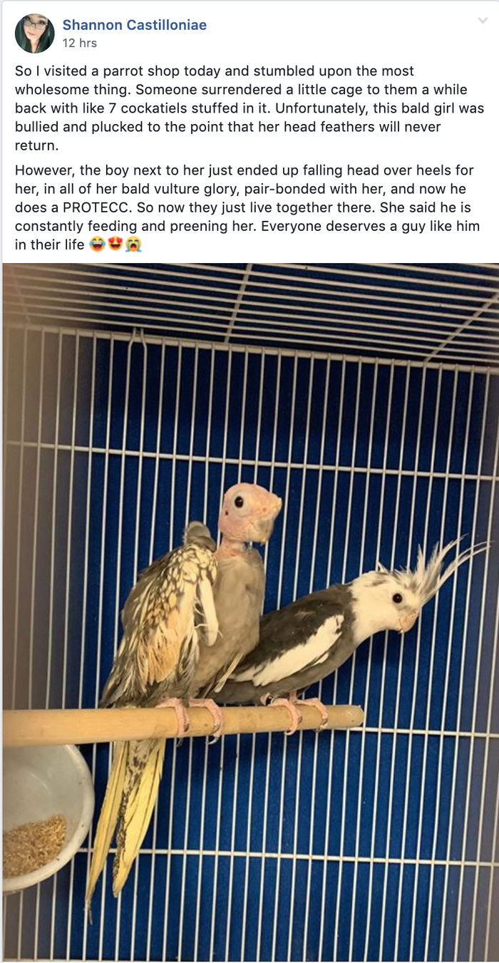 �������� ��������