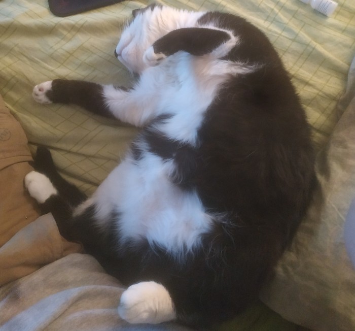 ������ ������� �� ���� ������������� ������������ ������ ��������� �����������