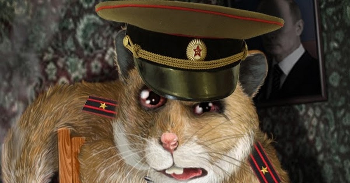 Канцелярская крыса в армии