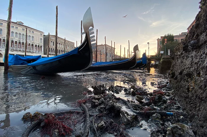 Venice's famous canals have dried up - news, Venice, Italy, Water, Channel, Catastrophe, Nature, Low tide, Longpost