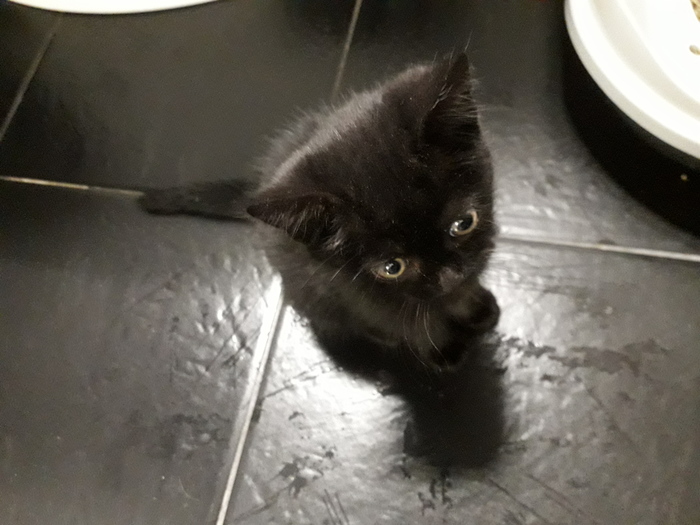 ����� �� ����� �����