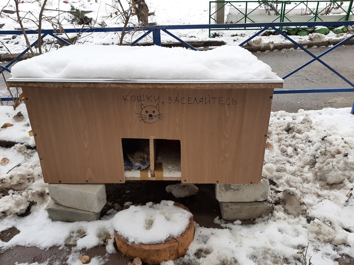 ������ ���������