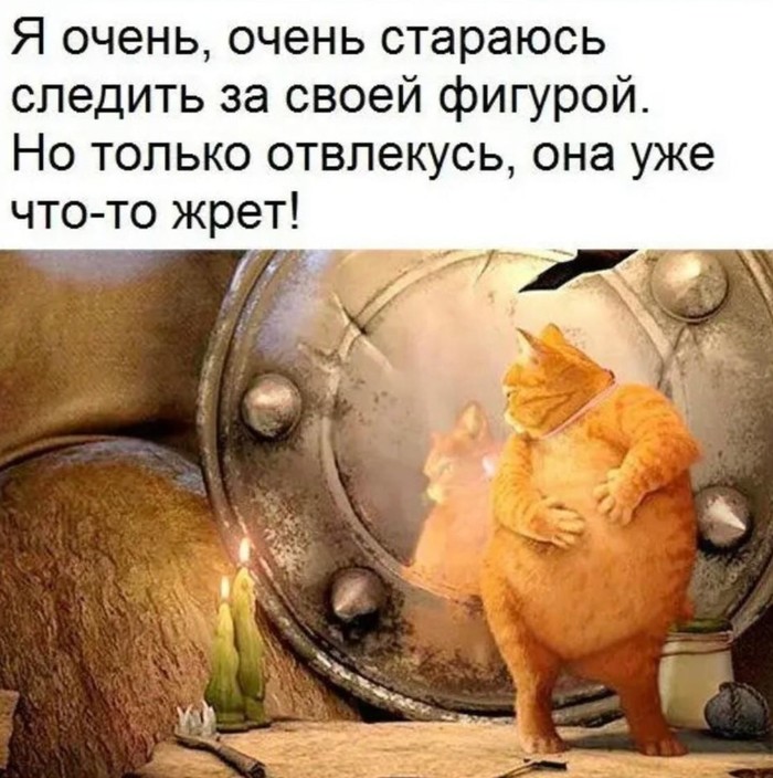   ,    ... ,  , 