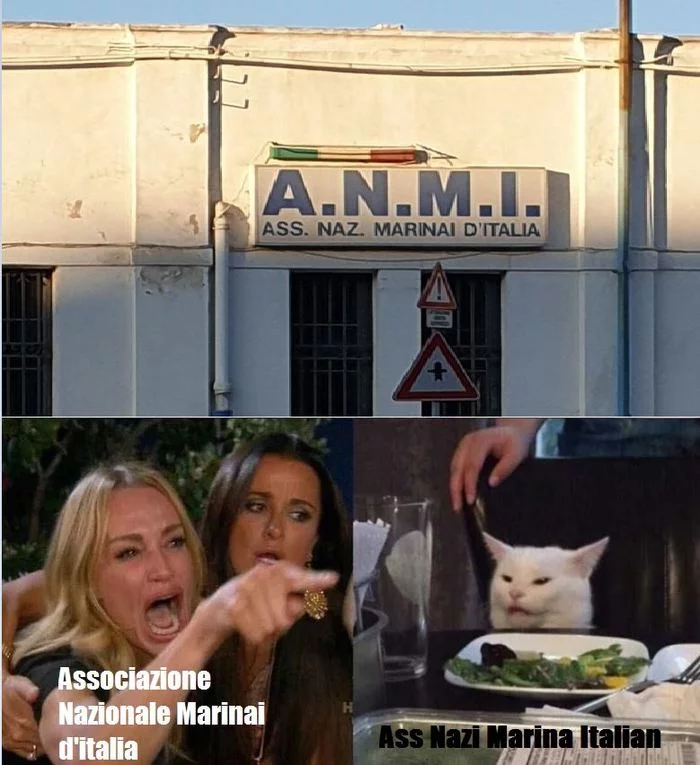 Ass Italian Nazi Marina - Two women yell at the cat, Memes, Humor, Italian