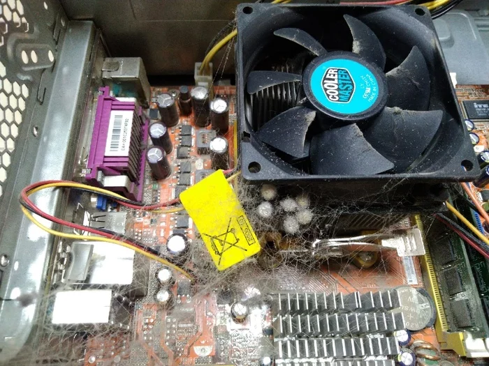 Someone hasn't cleaned their computer for a long time - My, Web, Nest, Spider, Eggs, Computer
