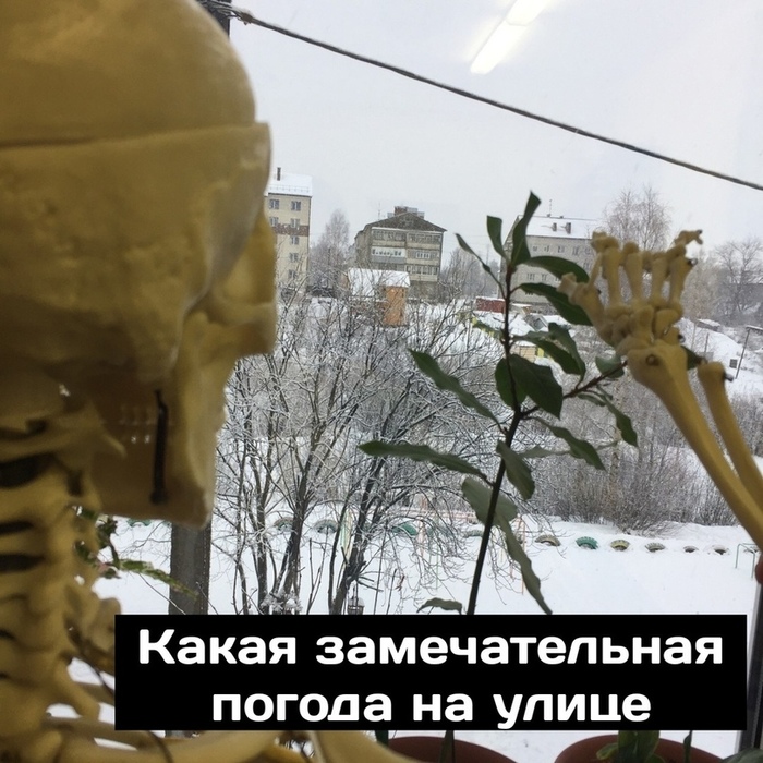   , , , , , 