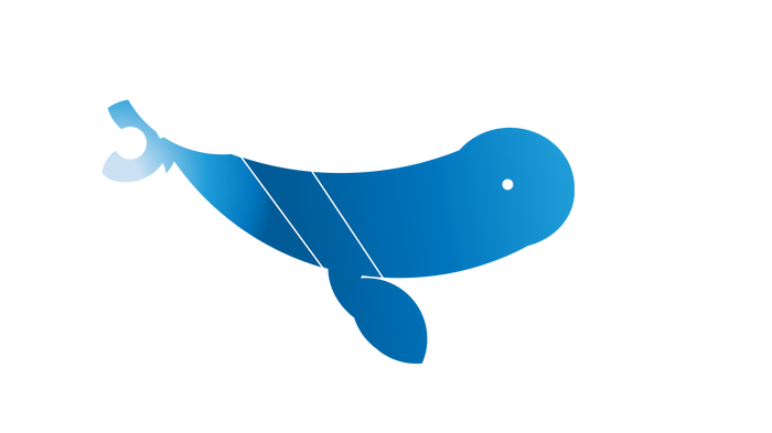 Векторный(уже нет) кит