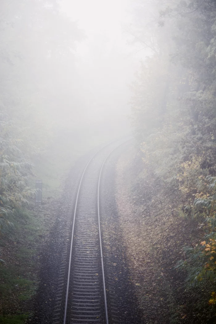 Roads running into the distance. I can't take my eyes off them - My, Prague, Fog, Nature, Forest, Landscape, Road, Atmospheric, Space, Longpost