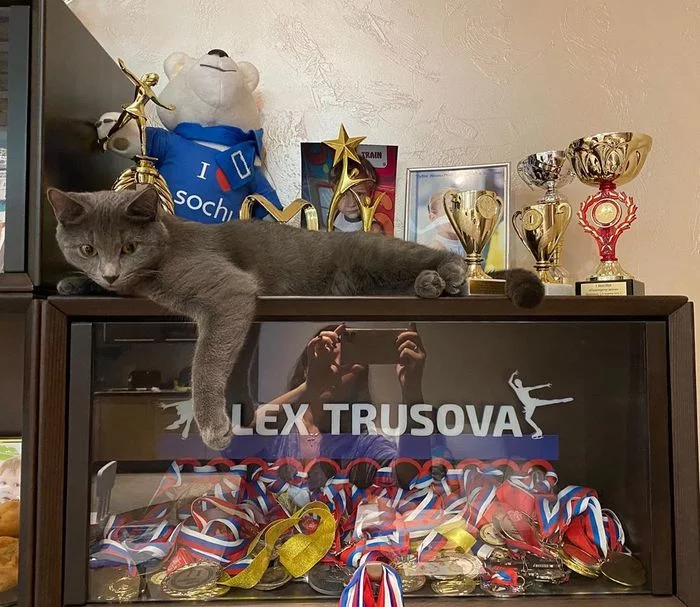 Alexandra Trusova showed how she stores medals =) - cat, Alexandra Trusova, Figure skating, Eteri Tutberidze, Russia, Medals, Girls