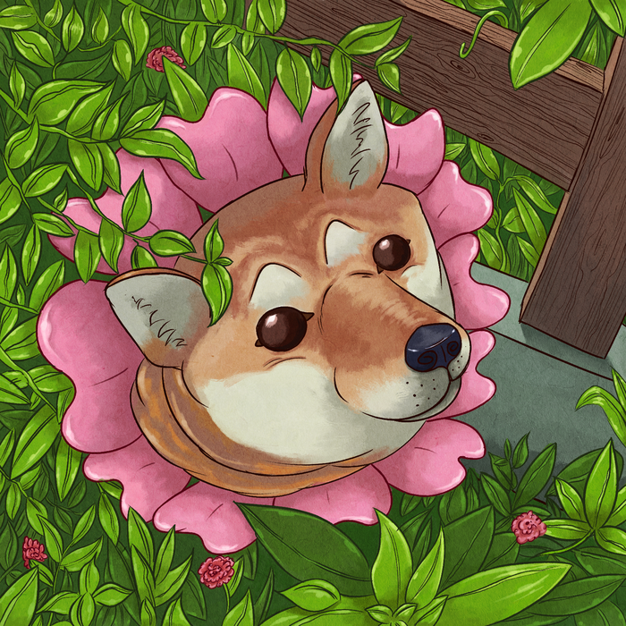  Doggo, Doge, , , 