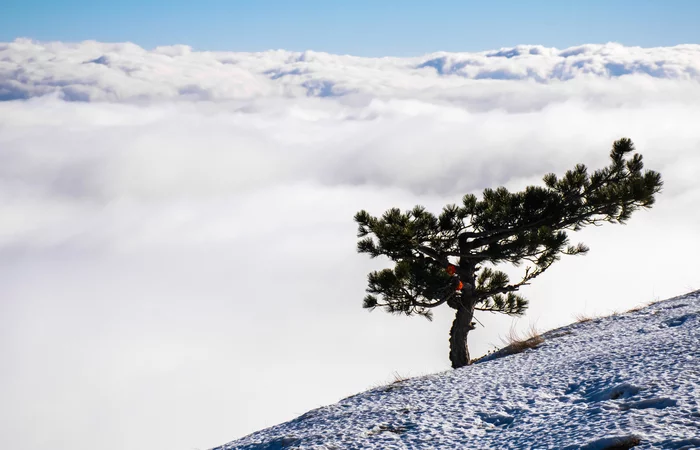 Higher than clouds - My, The photo, The mountains, Crimea, Ai-Petri, Photographer, Landscape, Nature