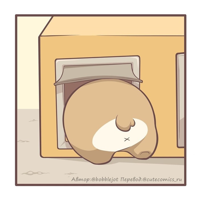    , , , , , , , Bobblejot