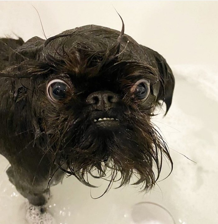 �� ���� ������, �� ��� ������))