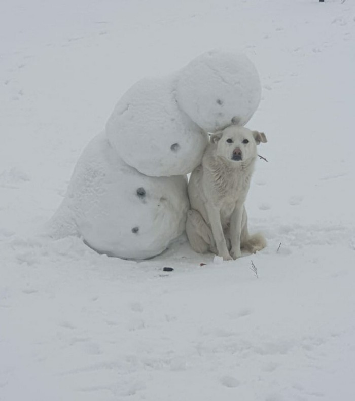 Come I will give you a hug - My, snowman, Dog, Hugs