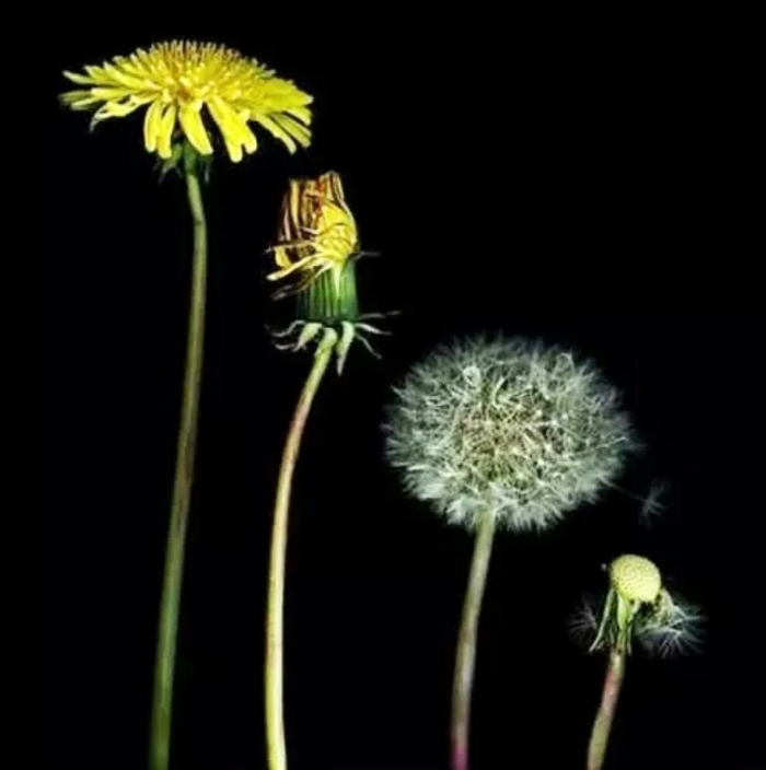 Жизнь - это очень быстро