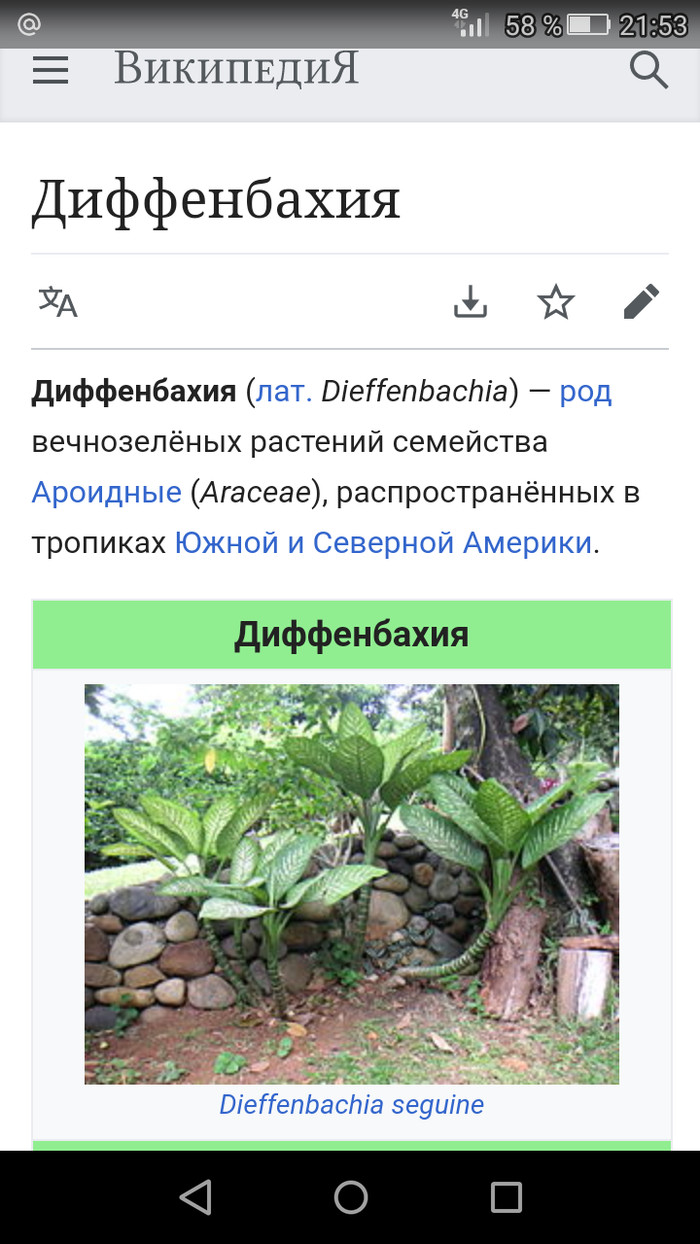 Попробуйте и пожалеете