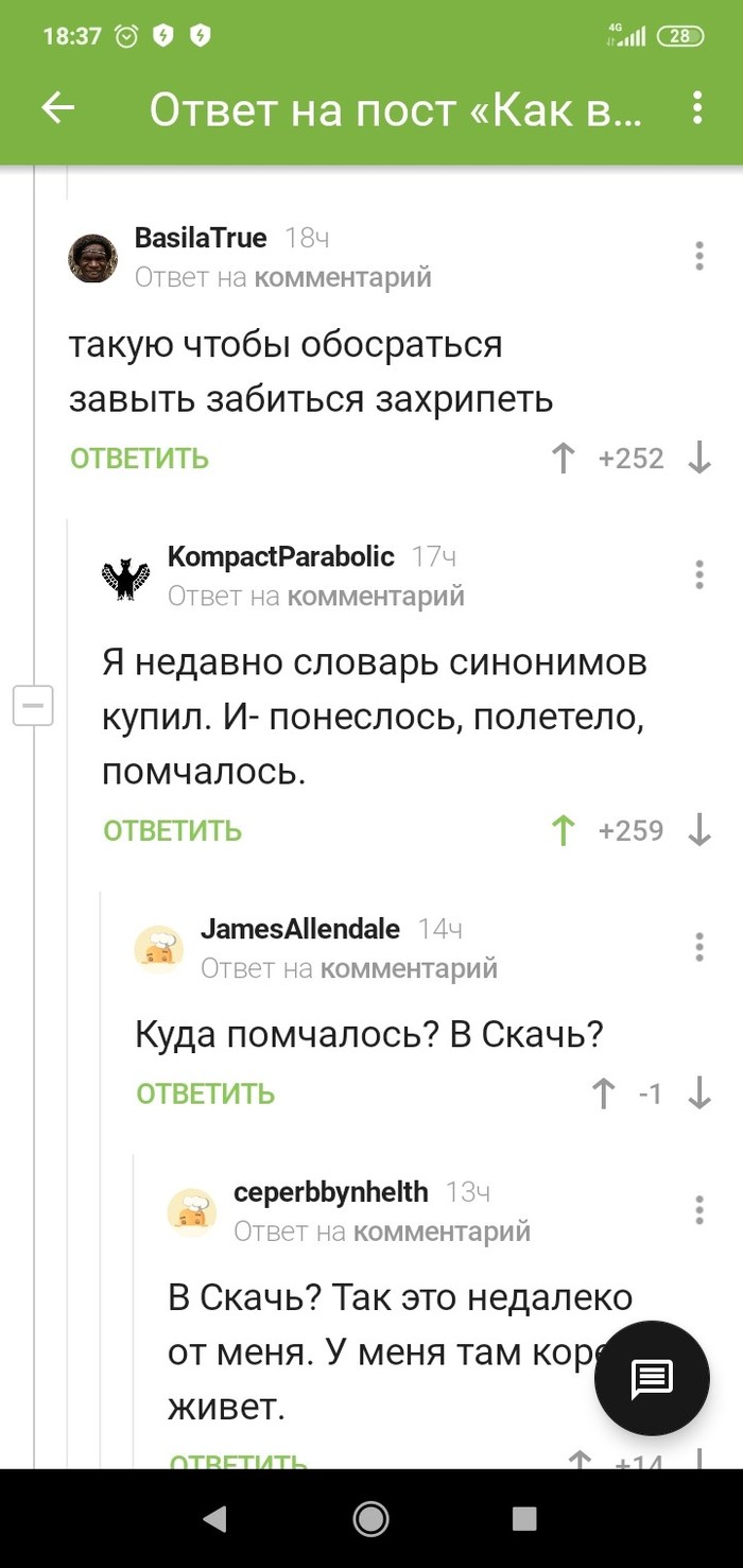 Словарь синонимов: истории из жизни, советы, новости, юмор и картинки — Все  посты, страница 10 | Пикабу