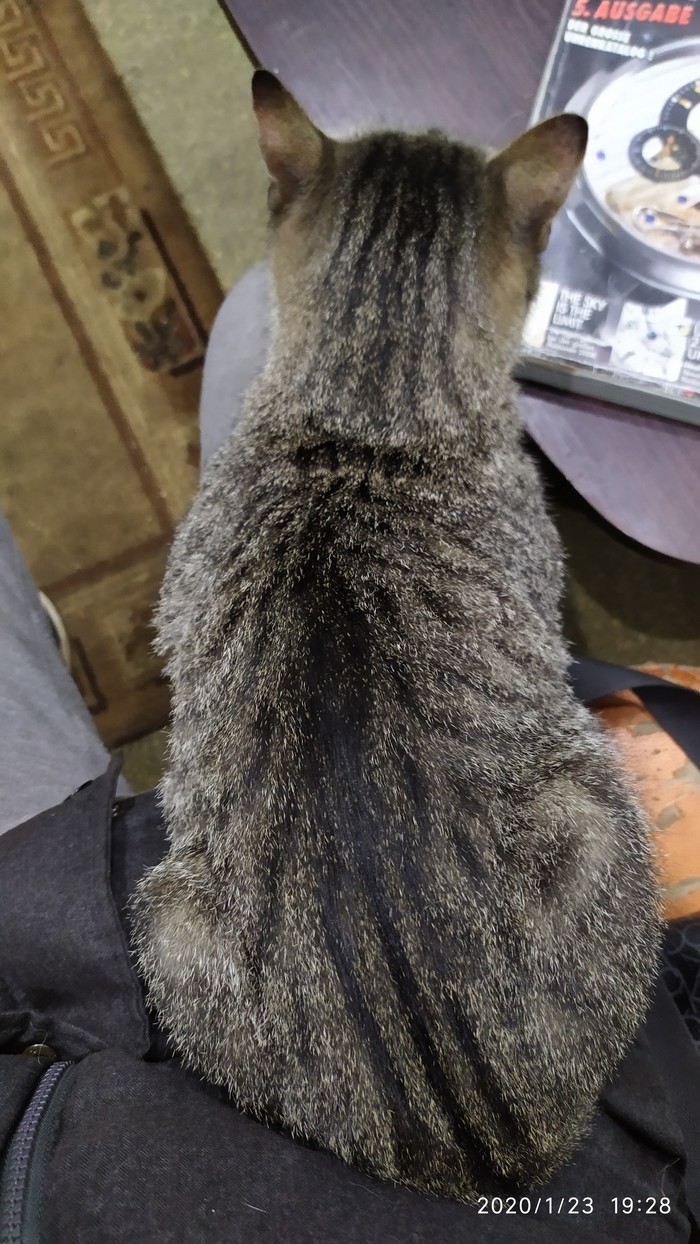   ,    , , , 